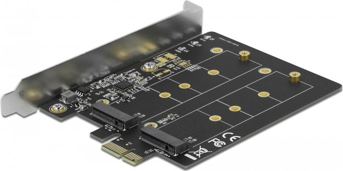 DeLOCK PCI Express x1 card to 2 x internal M.2 Key B, adapter aksesuārs datorkorpusiem