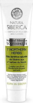 Natura Siberica  Pasta do zebow 7 Northern Herbs 100 g 4743318101286 mutes higiēnai