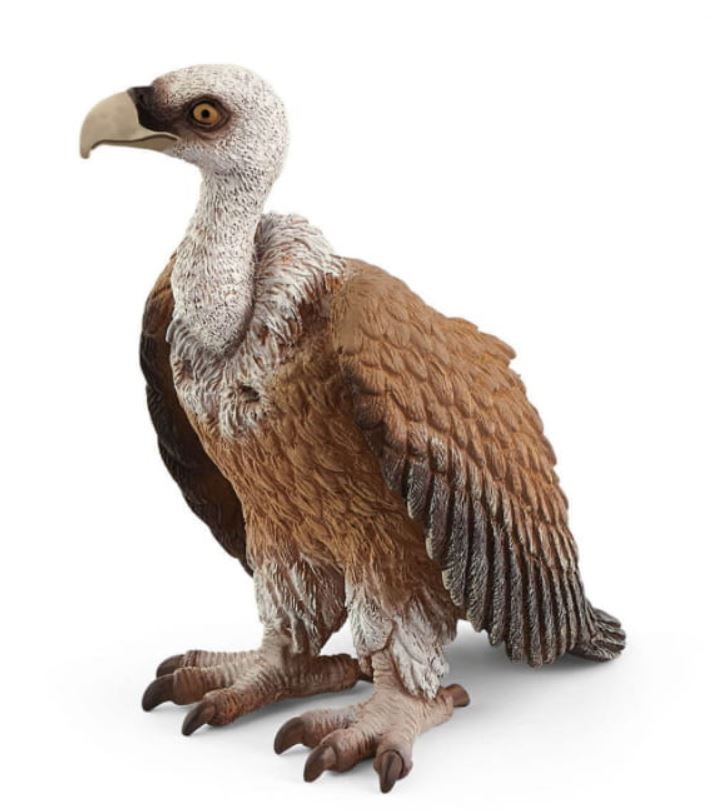 Schleich vulture, play figure konstruktors