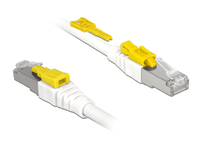 DeLOCK RJ45 Secure Cat. 6A 0,5m kabelis, vads