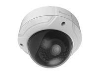 LevelOne IPCam FCS-3085        Dome Out 4MP H.264 IR5,5W PoE novērošanas kamera