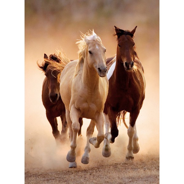 Clementoni Puzzle Horses 1000pcs. (39168) puzle, puzzle