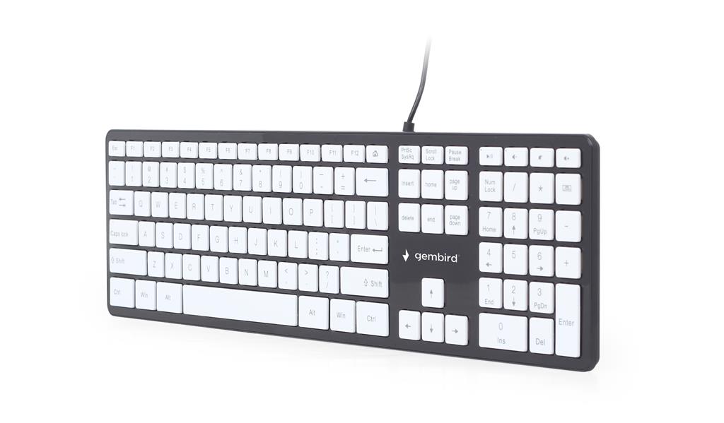 Keyboard X-slim USB black-white klaviatūra