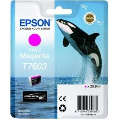 Ink Epson Singlepack Vivid Magenta | SureColor SC-P600 kārtridžs