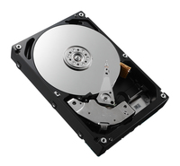 Dell HD, 2.5', 15K, 512n, SAS,  12Gbps, ISE, 600GB, Seagate,  5706998897572 SSD disks