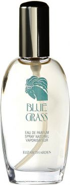 Elizabeth Arden Blue Grass EDP 100 ml 15763-uniw (0085805555313) Smaržas sievietēm