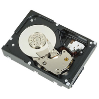 Dell HD, 2TB, 512b, SAS6, 7.2K RPM, 3.5 Inch, 32MB, Western  5711045268717 SSD disks