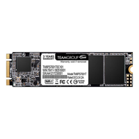 Team Group SSD MS30 - 1 TB - M.2 2280 - SATA 6 GB/s SSD disks