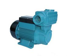 Omnigena Hydrophore pump WZ 250 Dārza laistīšanas iekārtas