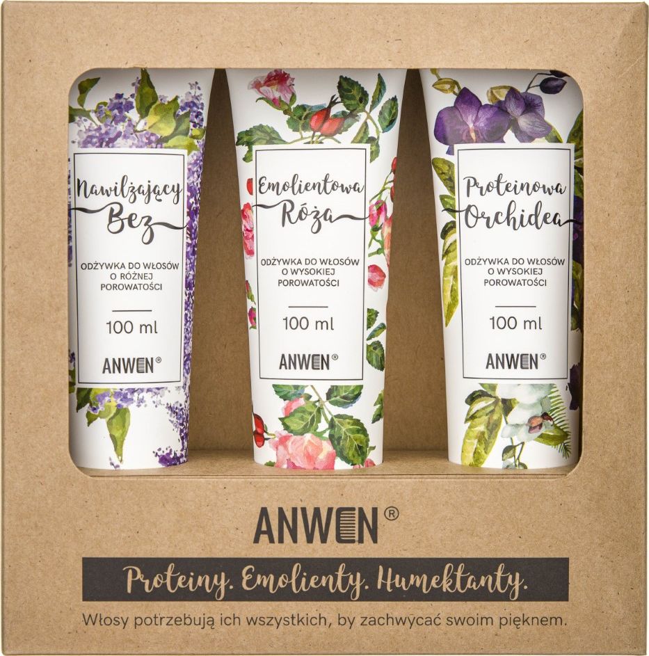 Anwen Zestaw 3 odzywek do wysokiej porowatosci - 100 ml (ANW-195) ANW-195 (5907222404195)