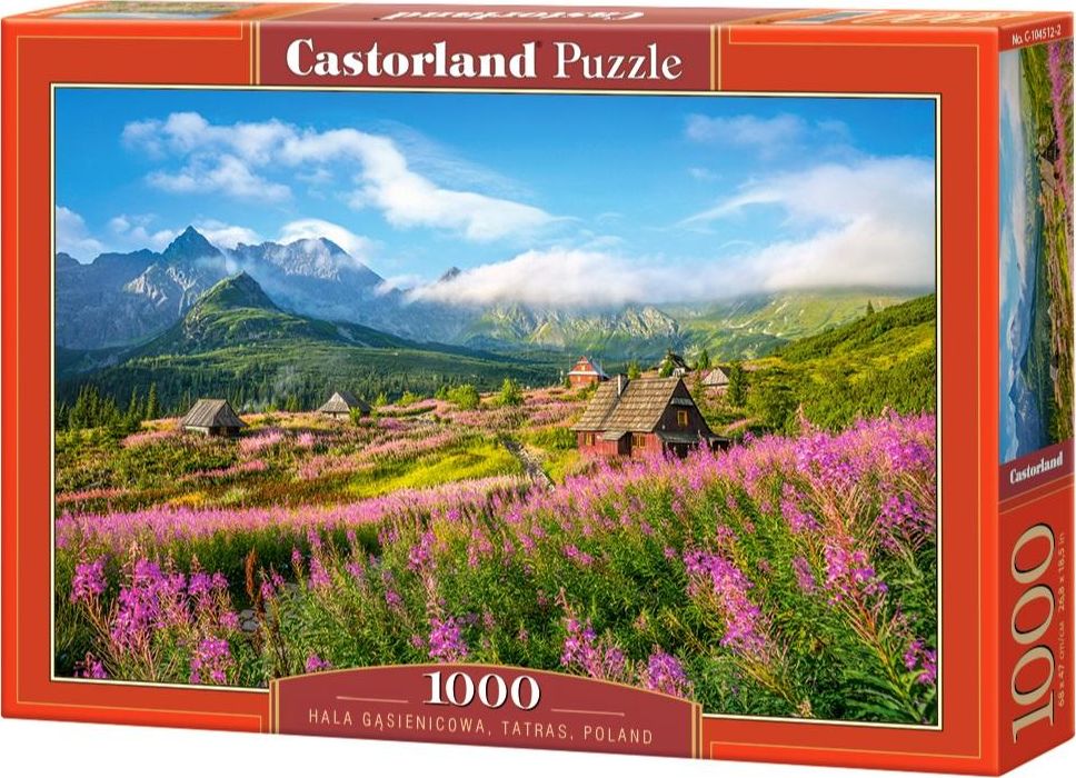 Castorland Puzzle 1000 elementow - Hala Gasienicowa, Tarty, Polska GXP-703111 (5904438104512) puzle, puzzle