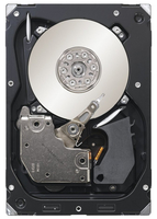 Seagate 300GB 16MB 15K SAS 6Gb7s Cheetah cietais disks