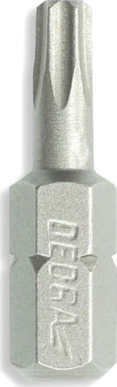 Dedra Koncowki wkretakowe Torx T20x25mm,10szt pudelko plast (18A03T200-10) 18A03T200-10 (5902628172815)