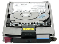 Hewlett Packard Enterprise EVA M6412A 1TB FATA Drive Refurbished 454414-001, AG691BB-RFB cietais disks