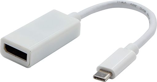 USB USB-C - DisplayPort Adapter White