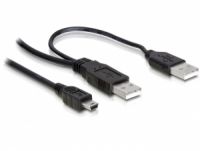 USB Y-Kabel Delock 2x A -> Mini-B St/St 1.00m USB kabelis