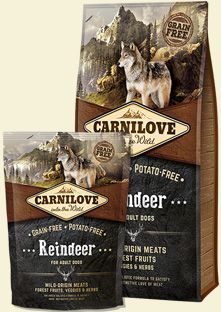 Carnilove Reindeer For Adult - 1.5 kg VAT003540 (8595602508891) barība suņiem