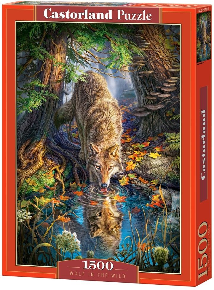 Castorland 1500 elementow Wilk (151707) GXP-620411 (5904438151707) puzle, puzzle