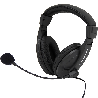 ESPERANZA Stereo Headset with microphone and volume control EH103 | 2,5m