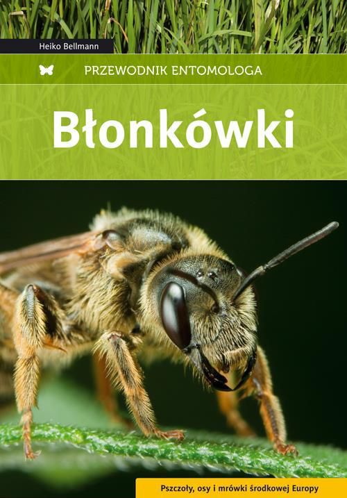 Przewodnik entomologa. Blonkowki 55876 (9788370737078)