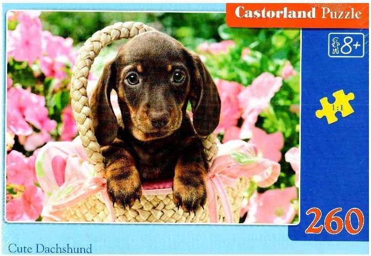 Castorland Puzzle 260 Cute Dachshund 290231 (5904438027514) puzle, puzzle