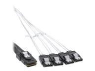 InLine SAS-Kabel (OCR), 1x Mini-SAS zu 4x SATA, 1m - transparent kabelis datoram