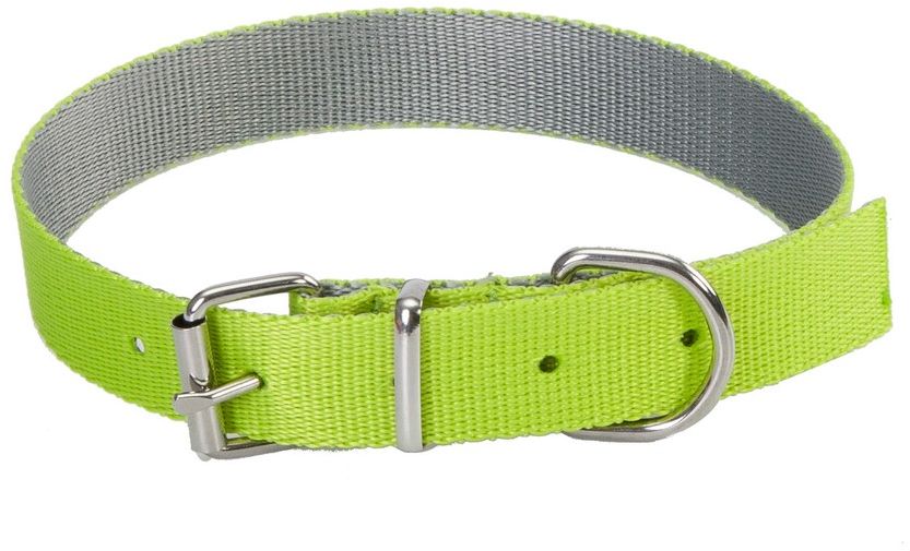 Dingo Obroza Energy Silver zielona 2.5/55cm VAT011093 (5904760145412) aksesuārs suņiem