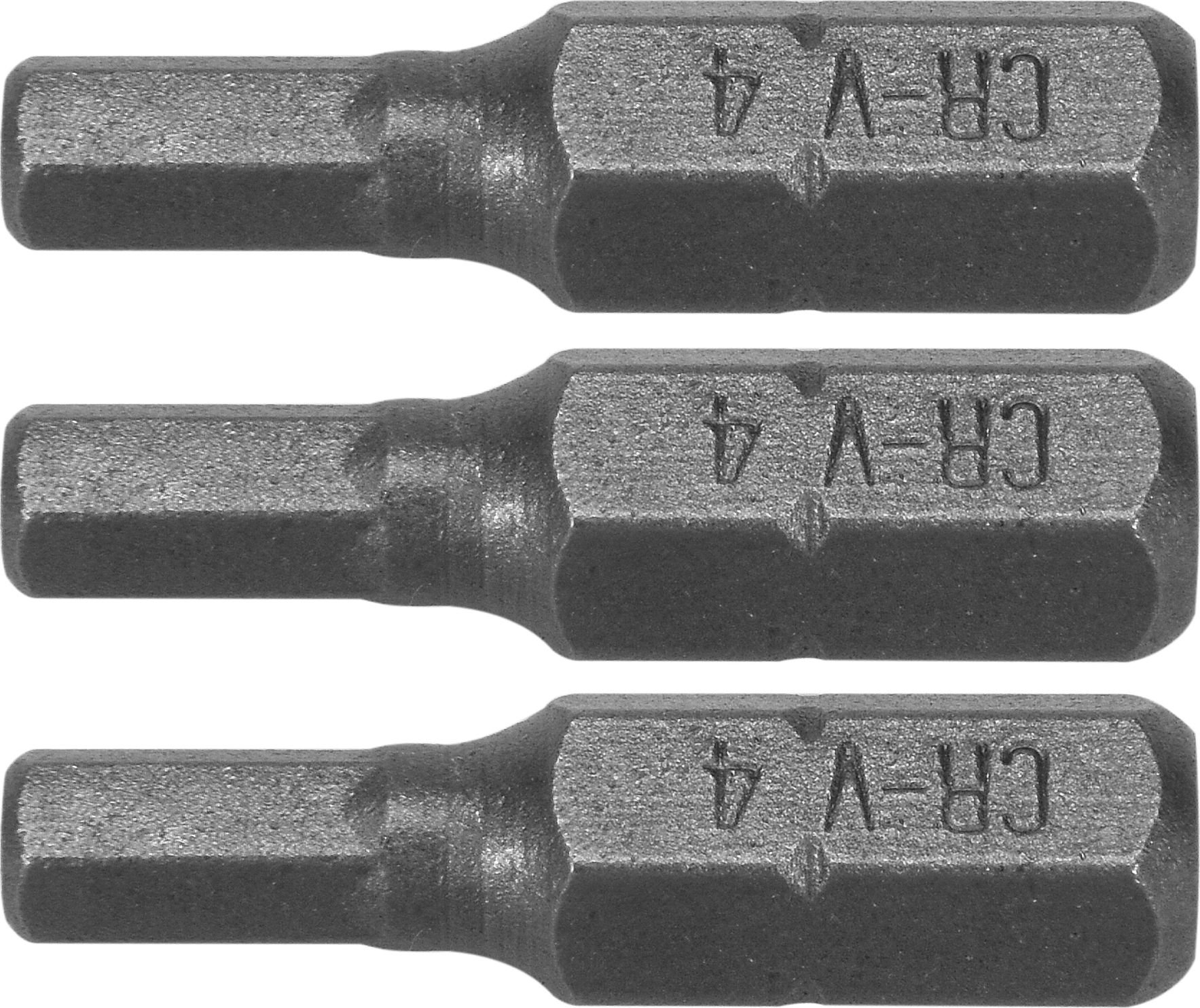 Dedra Koncowki wkretakowe Hex H4x25mm, 3szt blister (18A04H40-03) 18A04H40-03 (5902628172914)