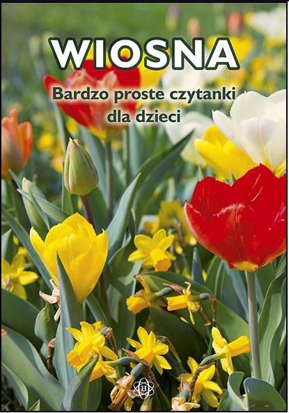 Bardzo proste czytanki dla dzieci 264941 (9788380800397) galda spēle