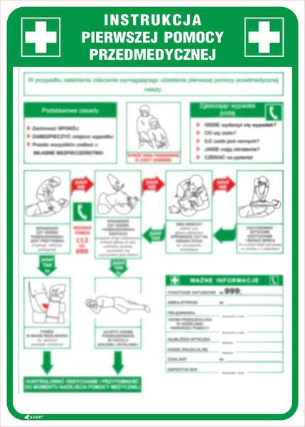 ANRO Tabliczka Instrukcja pierwszej pomocy przedmedycznej (IB13/P) IB13/P (5901986723738) biroja tehnikas aksesuāri