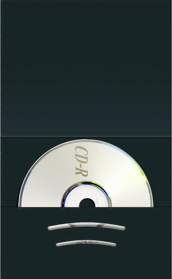 1x100 Daiber Folder with CD archieve             6x9cm black Foto rāmītis