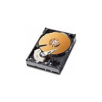 MicroStorage 80GB 3,5 IDE133 7200RPM Refurbished Parts AHDD014, 6Y120P0, WD800BB, ST380215A, P5333, ST380011A, 07N3935, 2K221, 2M921, N0738, cietais disks