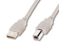 Cable USB2,0 A m / B m dl.5,0m- beige USB kabelis