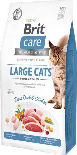 VAFO PRAHS BRIT CARE KOT LARGE CATS 2KG POWER & VITALITY GF 100-171310 (8595602540914) kaķu barība