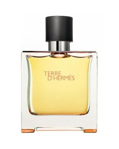Hermes Terre D'Hermes Perfume  200 Men