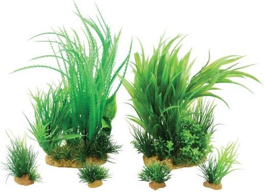 Zolux Dekoracja roslinna PlantKit Jalaya model 1 (352145) 4961160 (3336023521459)