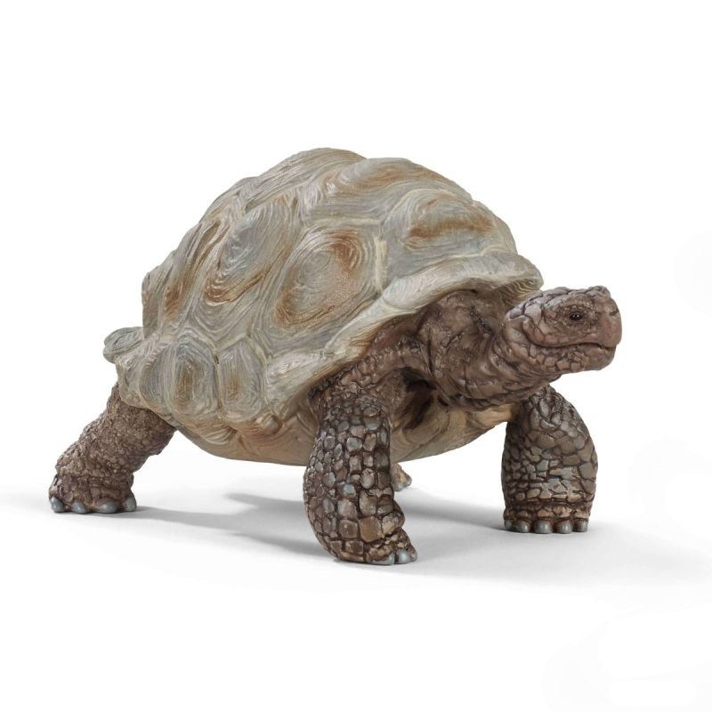 Schleich Wild Life Giant Tortoise - 14824 konstruktors