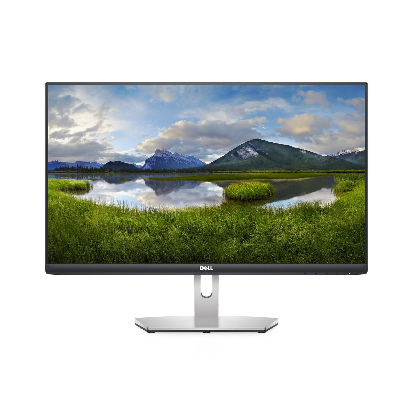 Dell LCD Monitor S2421HN 24 , IPS, FHD, 1920 x 1080, 16:9, 4 ms, 250 cd/m², Silver monitors