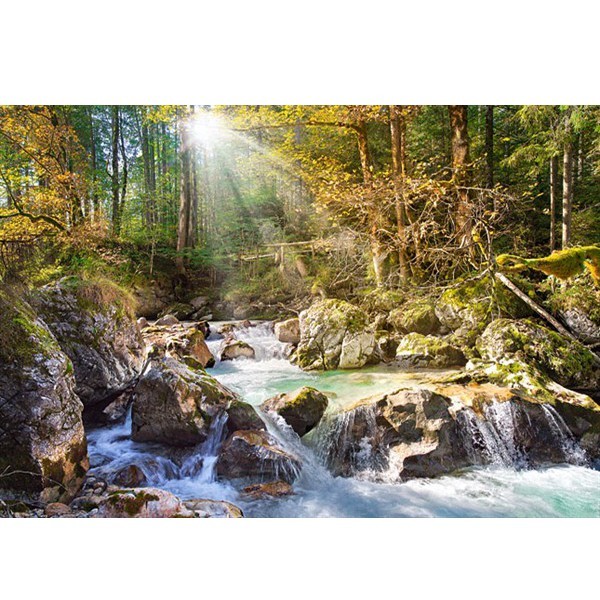 Castorland 2000 EL. Sunny Forest Stream (200382) puzle, puzzle