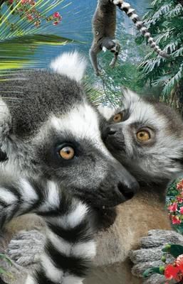 Worth-Keeping Minikartka 3D Lemur WIKR-1000441 (5710431001716)