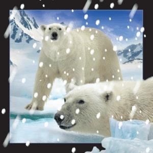 Worth Keeping Magnes 3D Niedzwiedzie Polarne w sniegu 182519 (5710431010411)