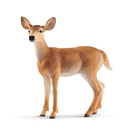 Schleich Wild Life         14819 White-Tailed Doe bērnu rotaļlieta