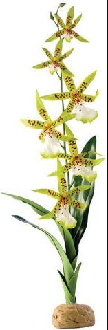 Hagen Exoterra Roslina Orchid 42cm 012852. (015561229913)