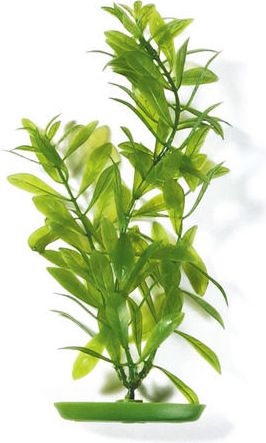 Hagen Roslina Hygrophila-zielona 30cm 010616 (080605112131)