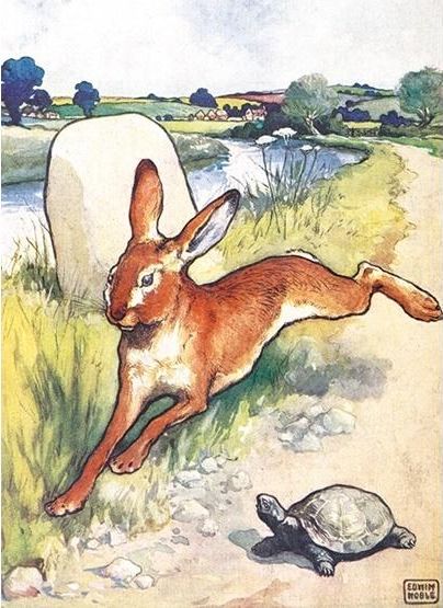 Museums & Galleries Karnet B6 z koperta The Hare and the Tortoise 336343 (5015278347899)