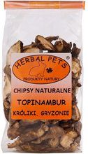 Herbal Pets Jerusalem artichoke CHIPS 75g grauzējiem