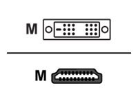 Sharkoon HDMI - DVI-D (18+1) - 1m - cable adapter - black kabelis, vads