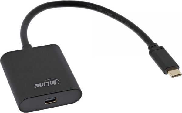 Adapter USB InLine USB-C - DisplayPort Mini Czarny  (64105B)