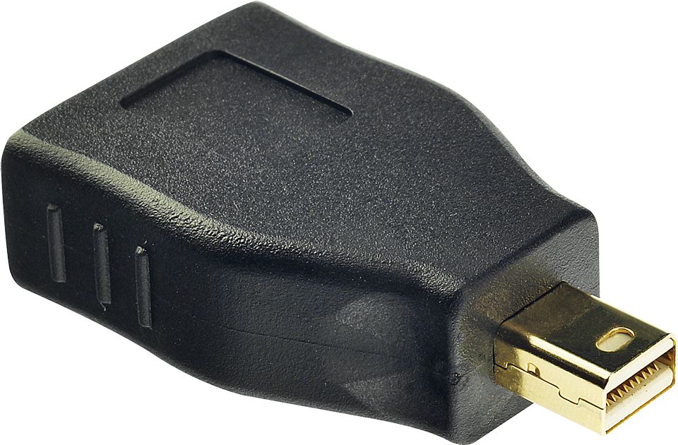 Adapter AV Lindy DisplayPort Mini - DisplayPort czarny (41077) 41077 (4002888410779)