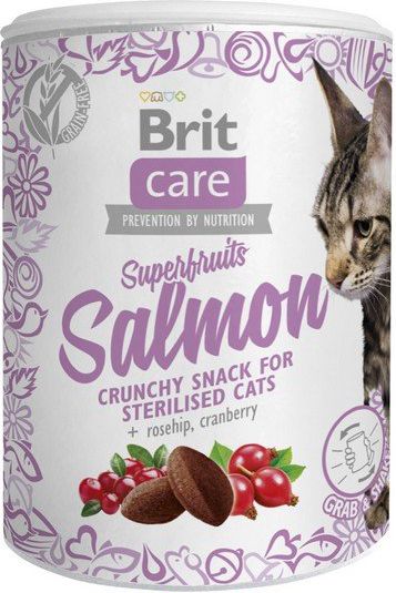 Brit Care Cat Snack Superfruits Salmon 100g 87122 (8595602521449) kaķu barība